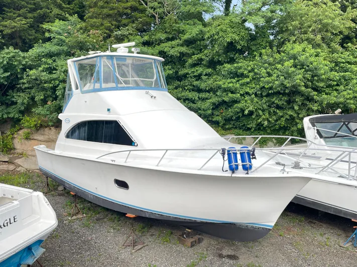 Pino Yacht Photos Pics 