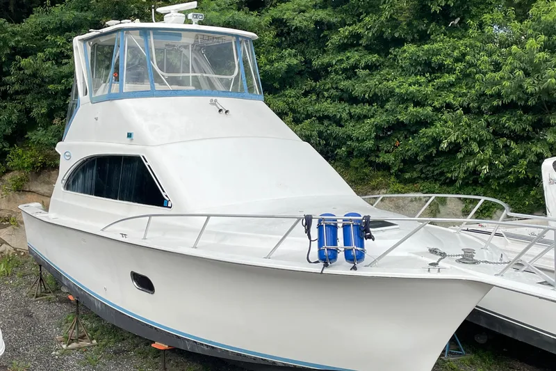 Pino Yacht Photos Pics 