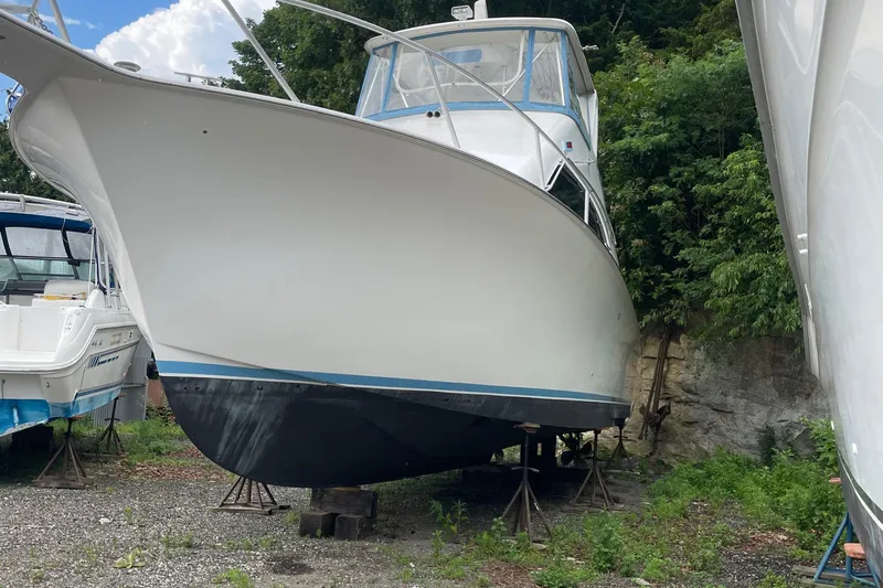 Pino Yacht Photos Pics 