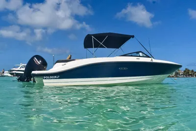 Sea Ray SPX 210 OB