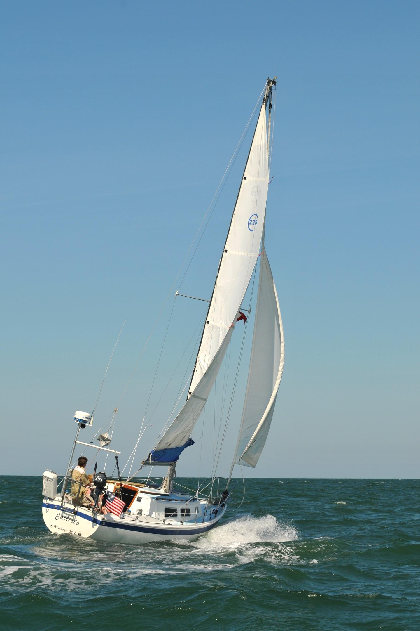 cal 2 29 sailboat data