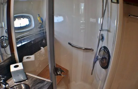  Yacht Photos Pics Bathroom interior of 2012 Sea Ray 540 Sundancer yacht with shower and porthole.