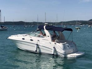 2006 Sea Ray SEA RAY 315 SUNDANCER 2006