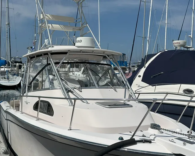 Script Yacht Photos Pics 