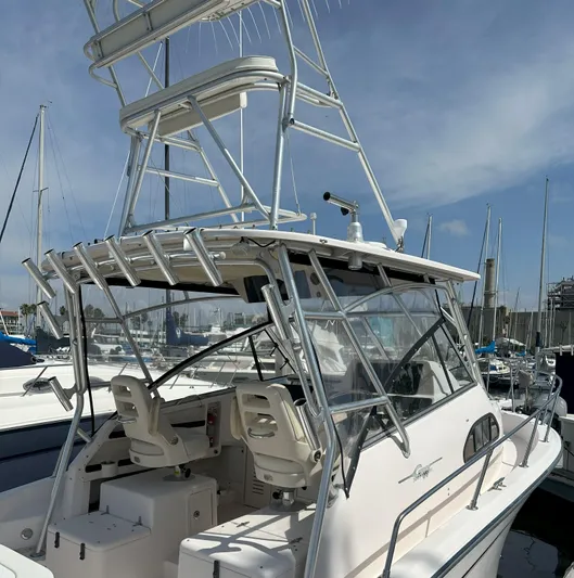 Script Yacht Photos Pics 