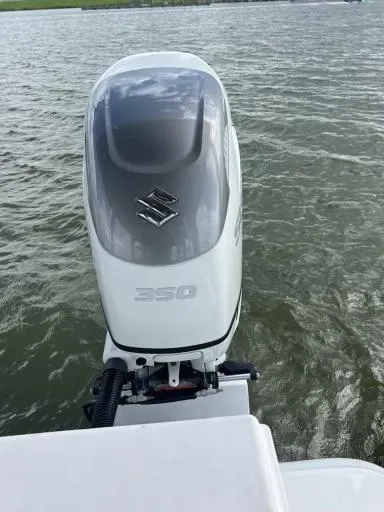 Cat Gone Willd Yacht Photos Pics 