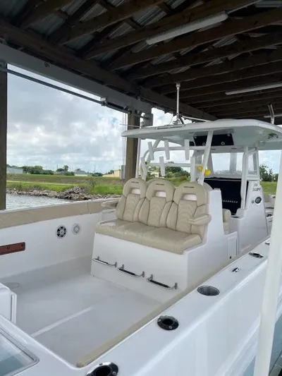 Cat Gone Willd Yacht Photos Pics 