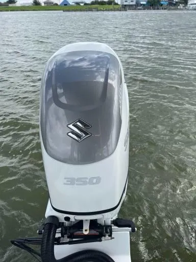 Cat Gone Willd Yacht Photos Pics 