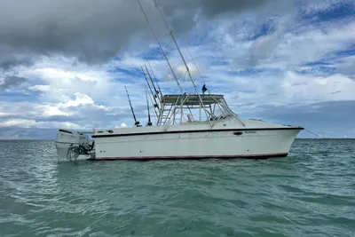 Powercat Catamaran