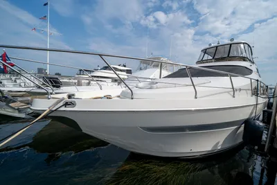 Marquis 55 LS