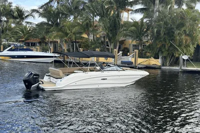 Sea Ray 250 SDX OB
