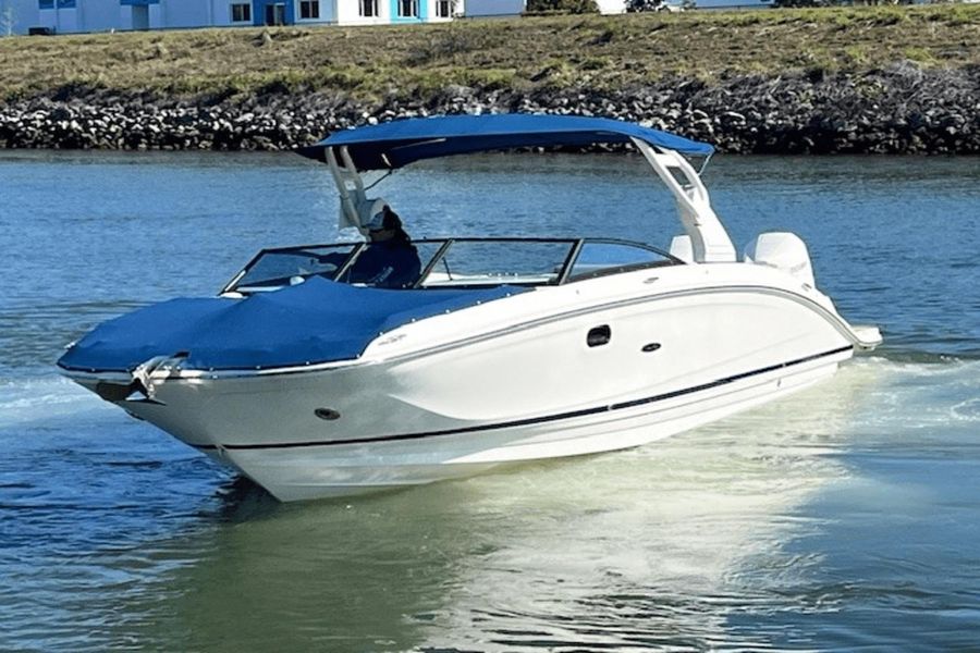 2019 Sea Ray 290 SDX-OB