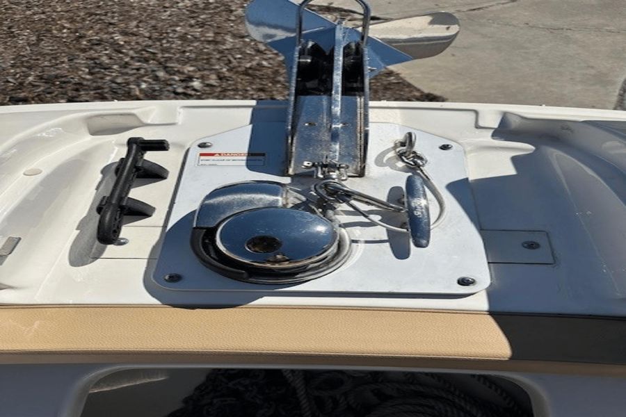 2019 Sea Ray 290 SDX-OB