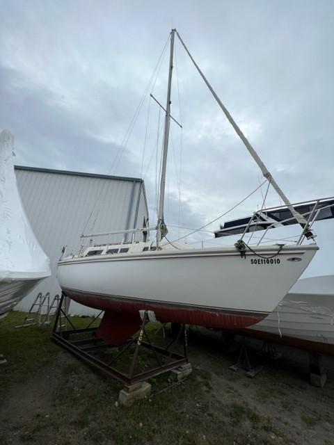 25 foot sailboat on sale for sale