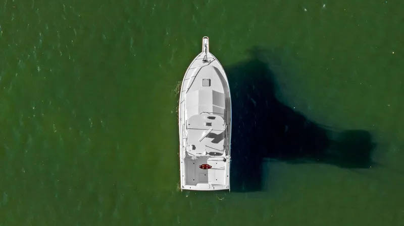 Reel Estate Yacht Photos Pics 2005 Cabo 35 Flybridge 'Reel Estate'