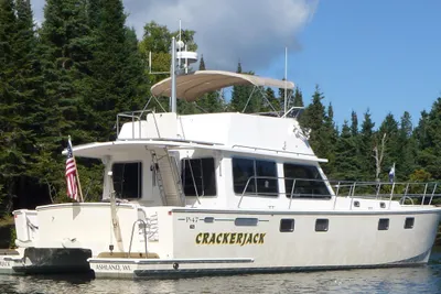 Maine Cat Maine Cat P-47 Lm-ib