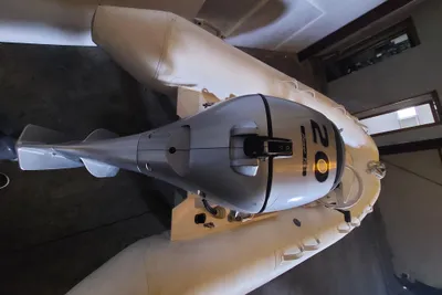 Inflatable Venus 320