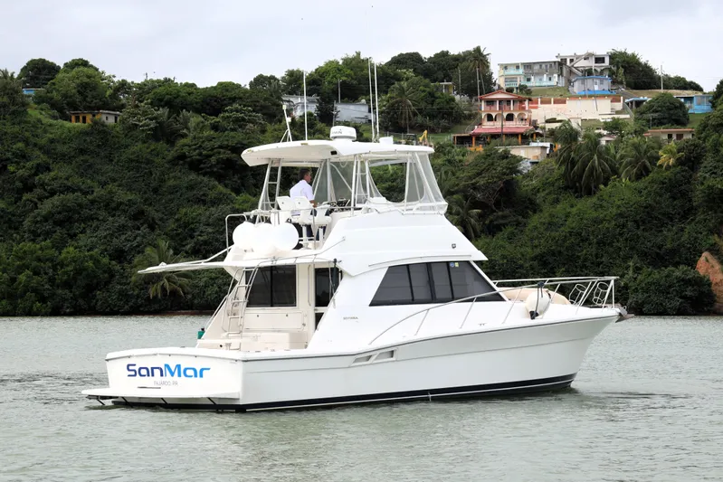  Yacht Photos Pics 2000 Riviera Flybridge Convertible yacht on water, lush green background.