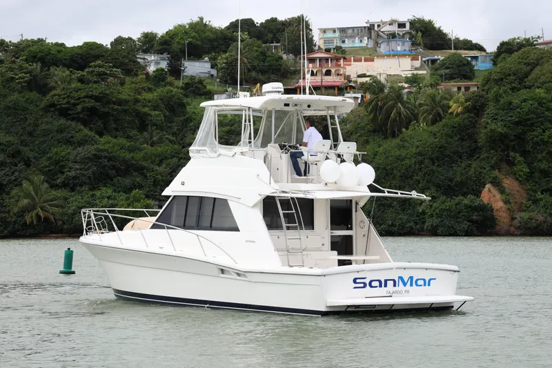  Yacht Photos Pics 2000 Riviera Flybridge Convertible yacht cruising near lush, green shoreline.