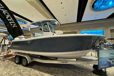Blackfin 252 CC