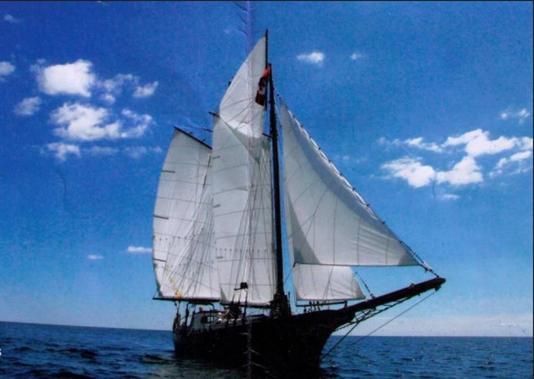 Custom Sails, Discover Versatile Sail Types at North Sails, North Sails