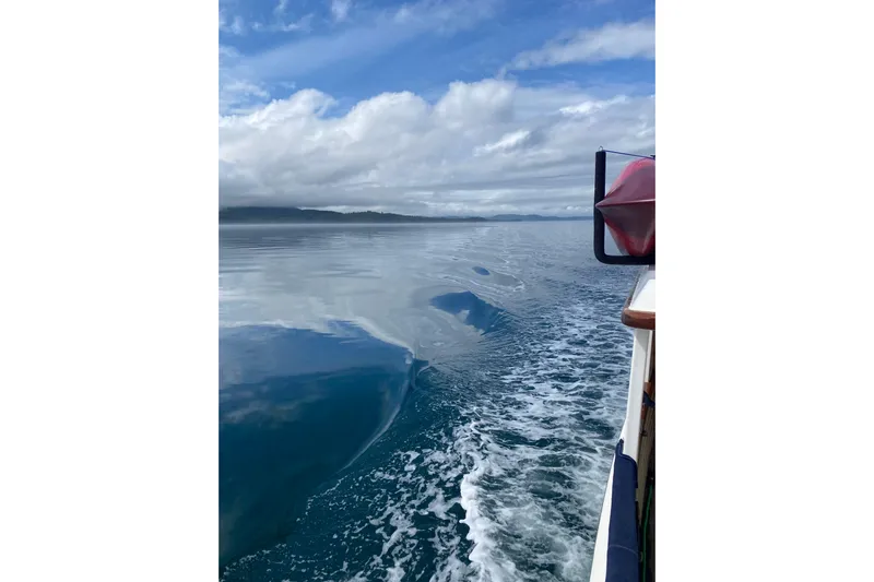 Points North III Yacht Photos Pics Kadey-Krogen 42 (1986) cruising on calm waters under a cloudy sky.