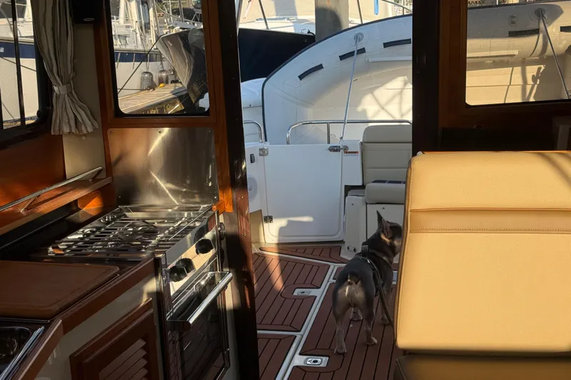  Yacht Photos Pics Interior of 2024 Ranger Tugs R31CB with kitchen and seating area, featuring a small dog.