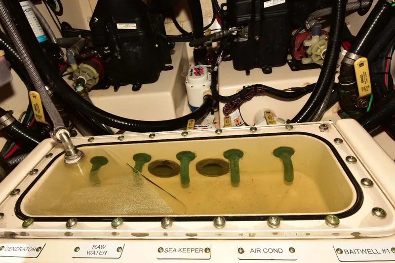 Pain Killer Yacht Photos Pics 