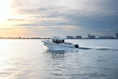 Bayliner T23PH