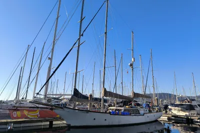 Samson C Baron 55