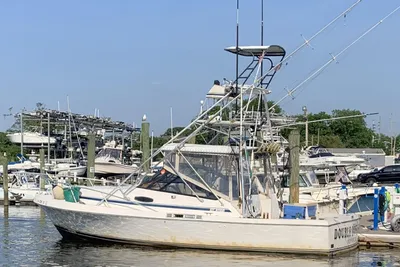 Blackfin 32 Combi