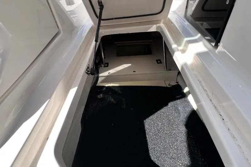  Yacht Photos Pics 2019 Regal 29 OBX boat storage compartment with open hatch and carpeted interior.