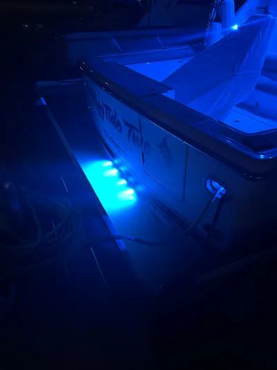 Hoggtide Two Yacht Photos Pics 