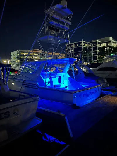 Hoggtide Two Yacht Photos Pics 