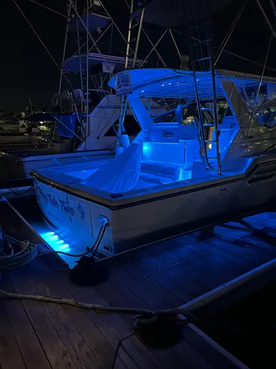 Hoggtide Two Yacht Photos Pics 