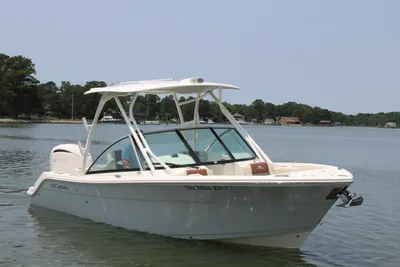 Cobia 240 DC