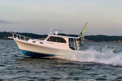 Judge 36 Chesapeake