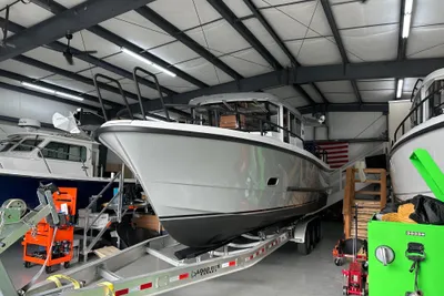 Sargo 31OB