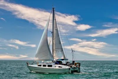 Catamaran Ocean Winds 33