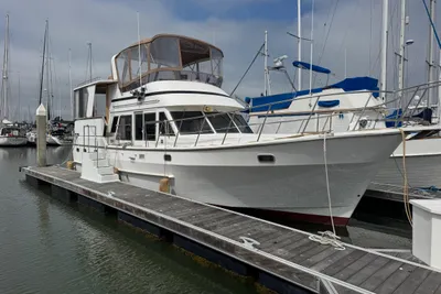 Nova Sundeck Golden Star