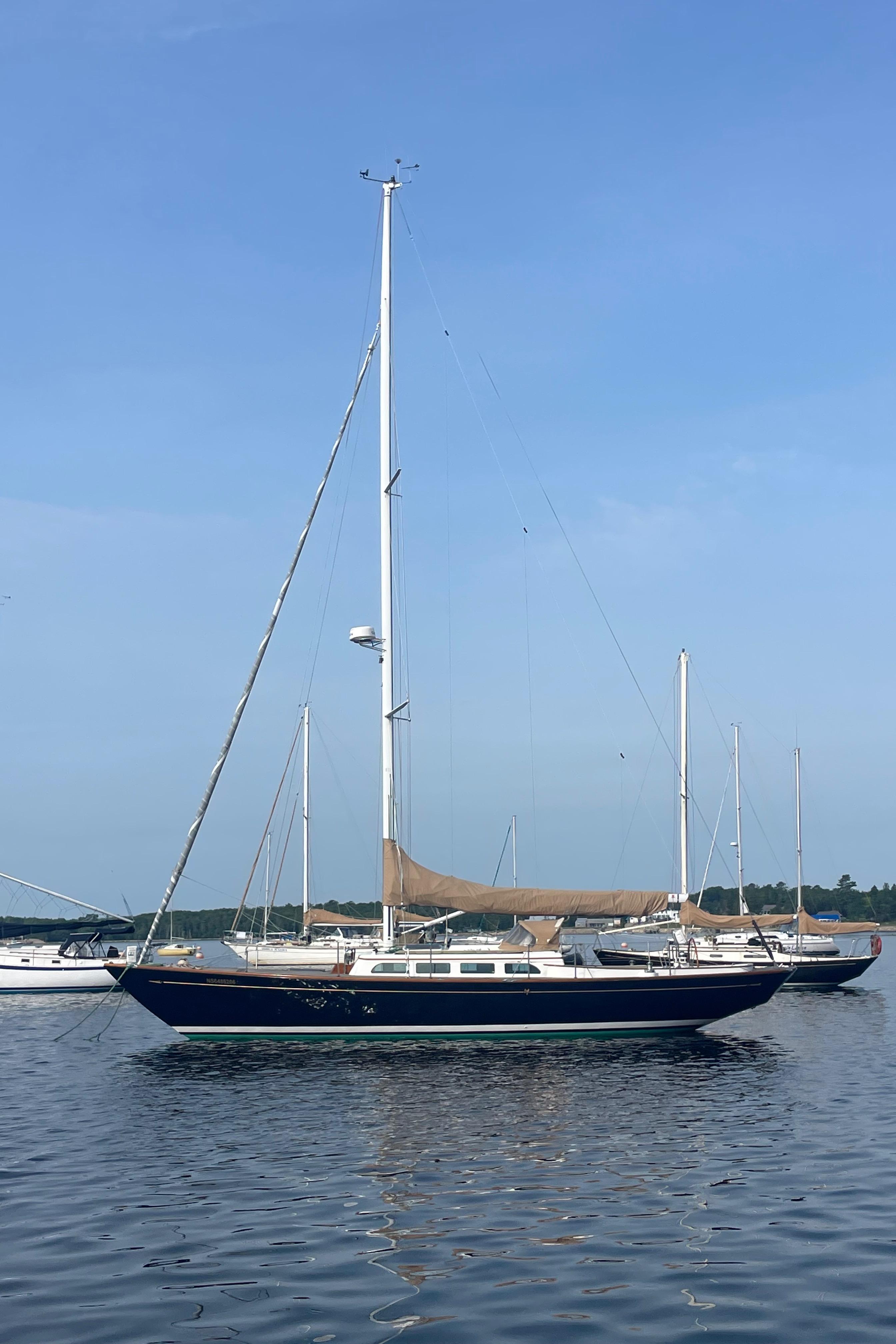 198x　Moorer Morris-LL MOUGI200309TEPA217_U0022_1.jpg