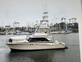 Bertram 46 Convertible