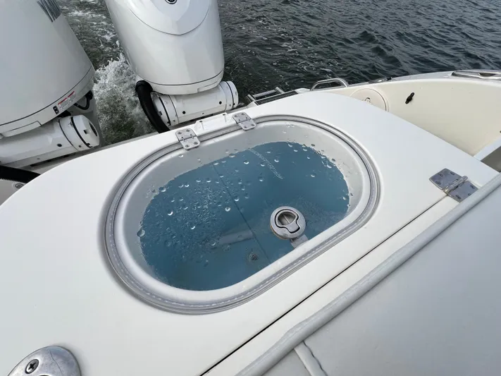 Chaos Yacht Photos Pics 