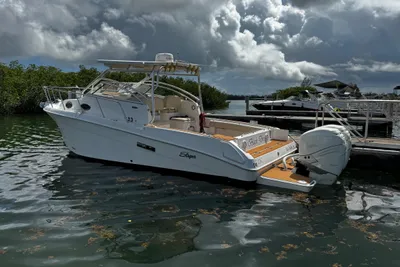 Seaswirl Striper 2901 Walkaround O/B