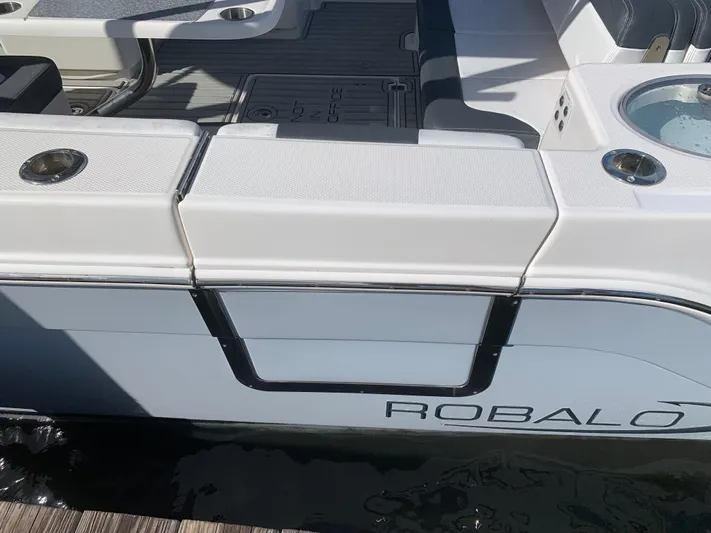  Yacht Photos Pics 2019 ROBALO 317 DC - Image 11