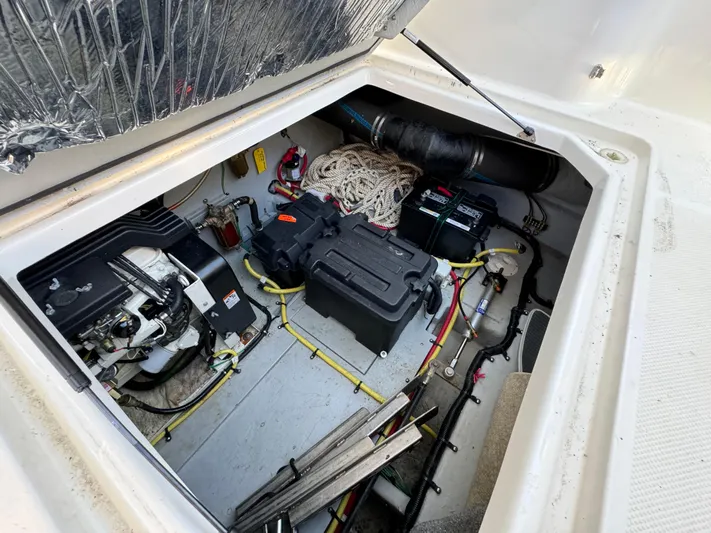 Baby Cake Yacht Photos Pics 