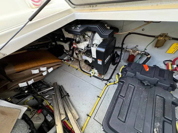 Baby Cake Yacht Photos Pics 