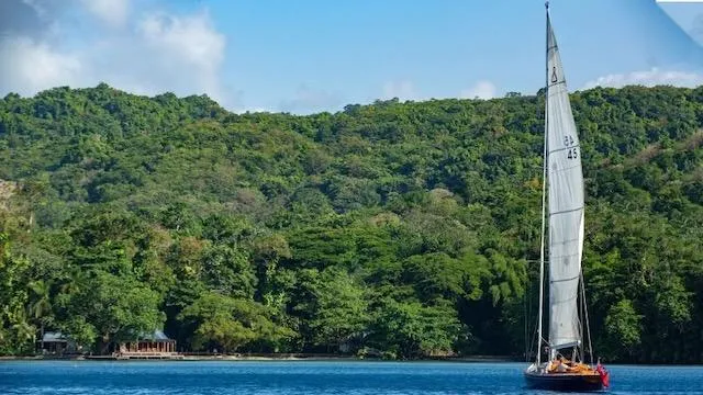 Bamboozle Yacht Photos Pics Sailing yacht Spirit 46 (2010) on tranquil waters with lush green forest backdrop.