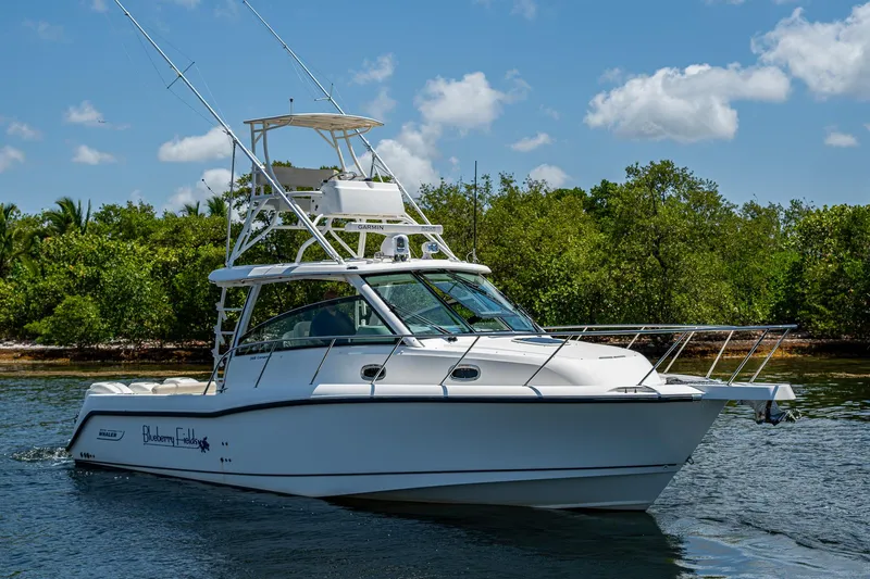 Yacht Photos Pics 2015 Boston Whaler 345 Conquest boat on water, clear sky, lush greenery background.