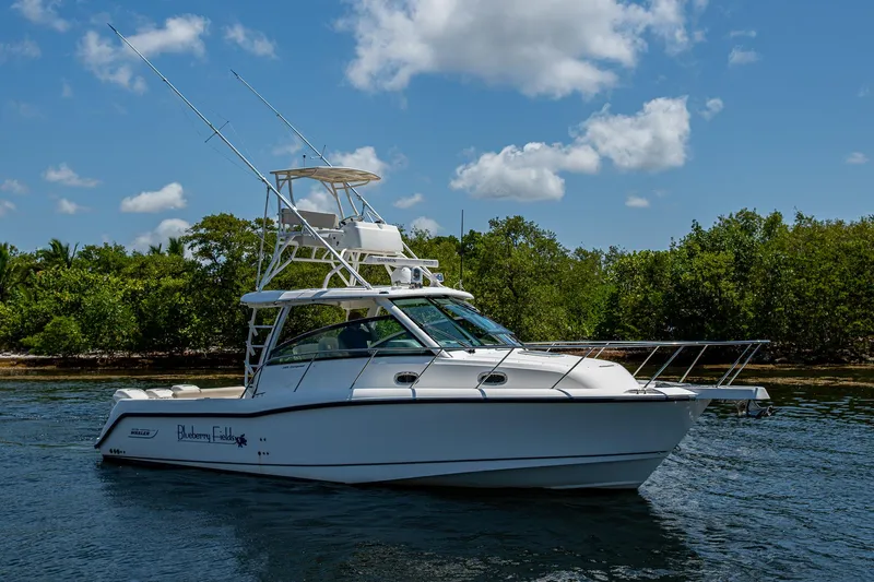 Yacht Photos Pics 2015 Boston Whaler 345 Conquest boat on water, clear sky, lush greenery background.